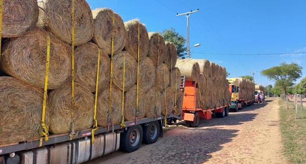 520 fardos de heno fueron distribuidos a pequeños productores tamberos de Yabebyry