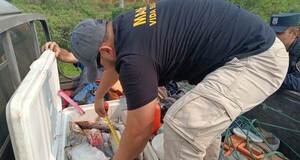 MADES intensifica controles en los departamentos de Ñeembucú y Misiones
