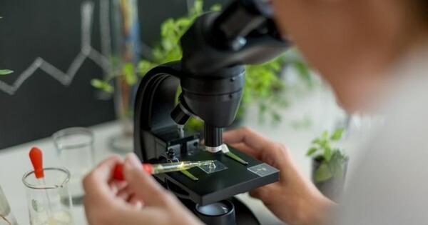 MEF invita a instituciones públicas a presentar proyectos de investigación científica y tecnológica al Japón