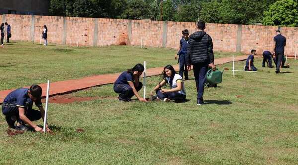 Estudiantes plantan 200 árboles nativos en plaza de Hernandarias