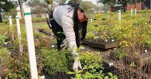 ITAIPU impulsa gestión sostenible de residuos con el compostaje en su Vivero Forestal