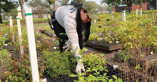 ITAIPU impulsa gestión sostenible de residuos con el compostaje en su Vivero Forestal