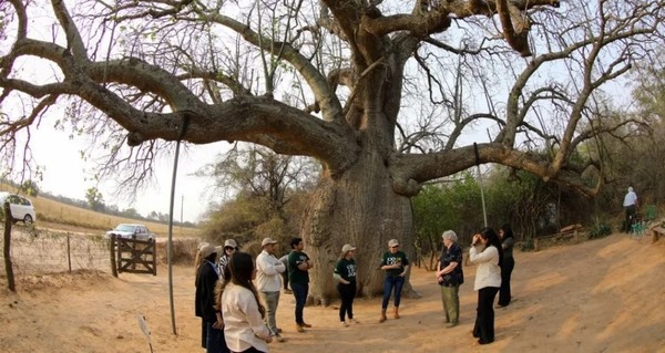 Descubriendo los tesoros naturales del chaco