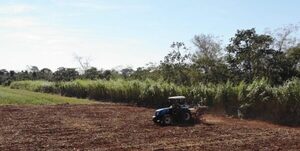 Principales avances del sector productivo en los tres pilares de la sostenibilidad