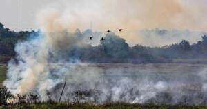 INFONA amplía el plazo de suspensión total de autorización de permisos de quema para evitar incendios forestales