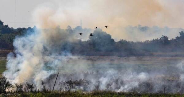 INFONA amplía el plazo de suspensión total de autorización de permisos de quema para evitar incendios forestales