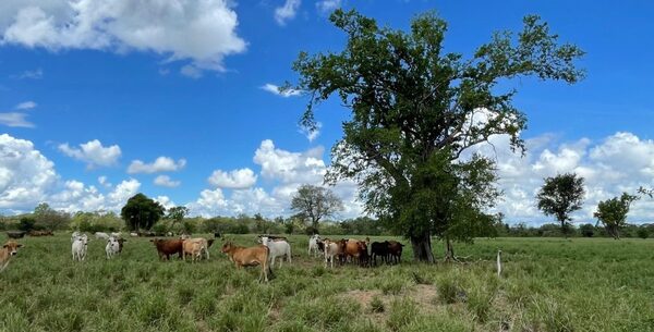 MADES firma acuerdo de cooperación con WCS e ICCF para la conservación y producción sostenible
