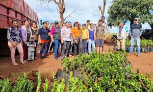 Buscan contribuir al empoderamiento de mujeres