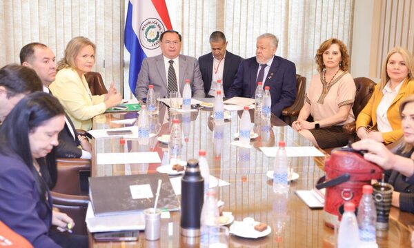 Mesa Directiva del Senado: IPS evalúa hacer otras emisiones de bonos, dice Brítez