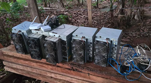 Intervienen granja ilegal dedicada a la criptominería en Caaguazú