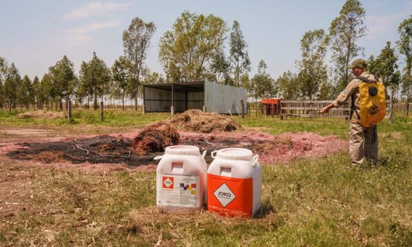 Jóvenes emprendedores desarrollan novedoso producto para combatir incendio