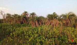 El Cerrado | Pausa