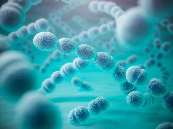 La bacteria estreptococo: ¿qué es, qué causa y cómo prevenirla? - Nacionales - ABC Color
