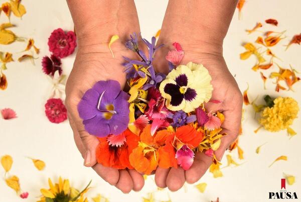 Primavera al plato | Pausa