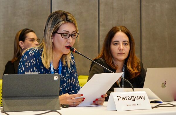 Paraguay oficializó candidatura para ser sede de la próxima Reunión Ministerial sobre Gobernanza de la OCDE - .::Agencia IP::.