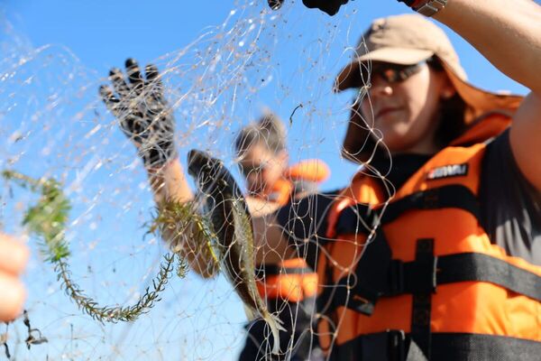 Paraguay anuncia veda para la pesca en sus aguas y las compartidas con Brasil y Argentina
