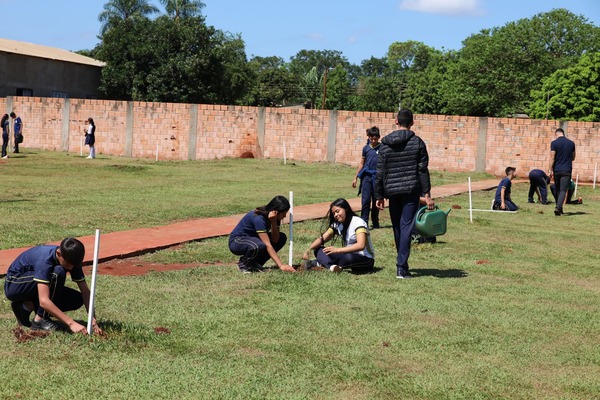 Plantan 200 árboles nativos en plaza de Hernandarias - ADN Digital