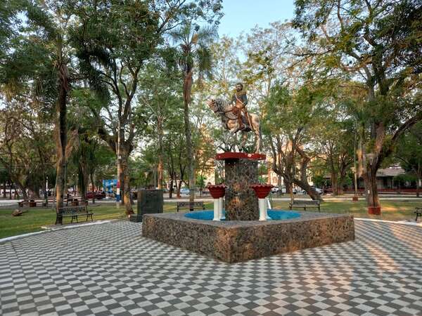 Monos en la ciudad de Pilar: “No están acá porque quieren, estamos destruyendo su medio ambiente” - Nacionales - ABC Color