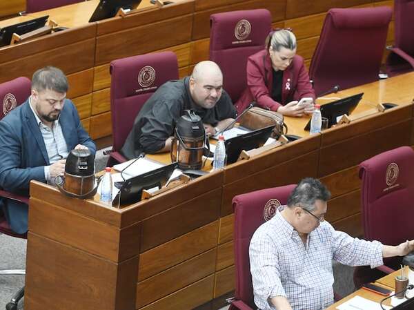 “Comisión garrote” sesionó sin quorum legal - Política - ABC Color