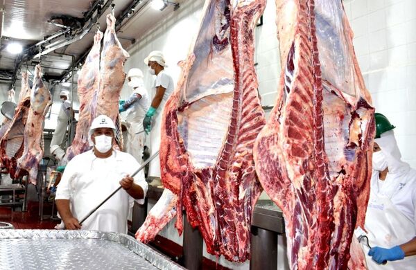 La ARP destaca que la clasificación y tipificación de canales es un gran logro para la cadena cárnica