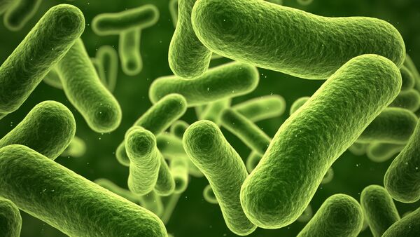 Falleció una niña afectada por una bacteria - SNT