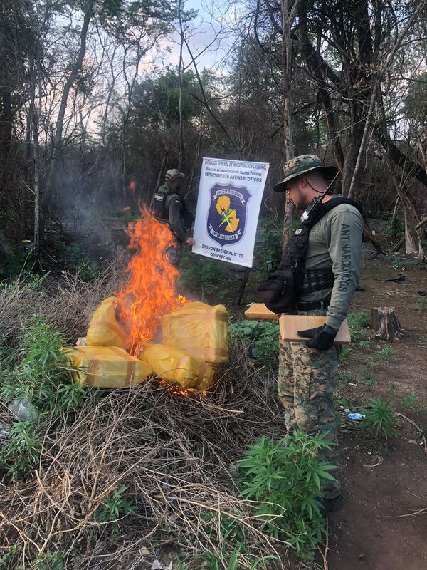 Operativo antinarcóticos en Concepción: incineran 500 kilos de marihuana prensada