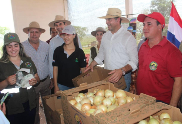En marcha primer envío de cebollas nacionales al mercado argentino - Portal Digital Cáritas Universidad Católica