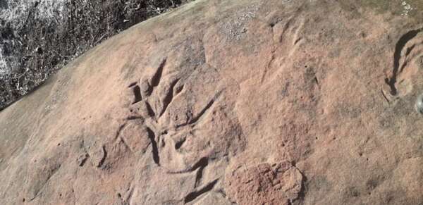 Arqueólogos buscan el origen y significado de las inscripciones rupestres en “Ita Pypore”, Misiones - Ciencia - ABC Color