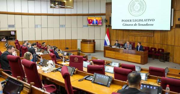 La Nación / Plantean impulsar un proyecto de ley para la carrera del funcionario legislativo
