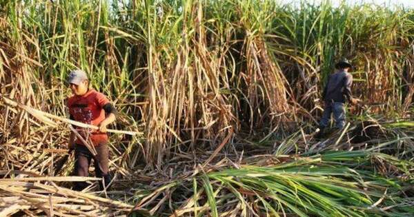 La Nación / Rechazan el ajuste en ley de biocombustibles