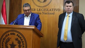 Leite tilda de gris a negocio de importadoras de armas