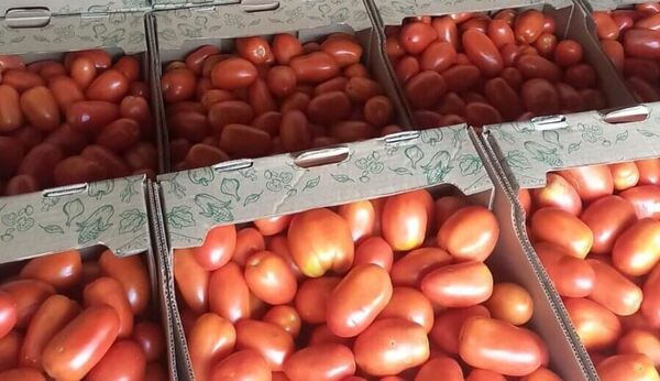 Continúa exportación de frutihortícolas a la Argentina y se miran otros mercados
