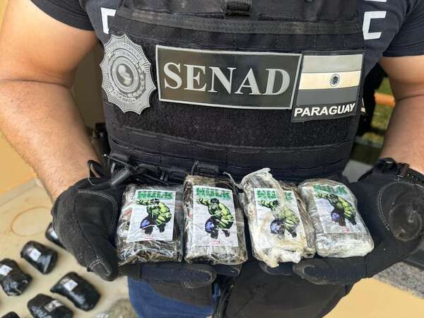 Capturan a un menor de edad reclutado por el narcotráfico: trasladaba droga al Brasil en un bus - Policiales - ABC Color
