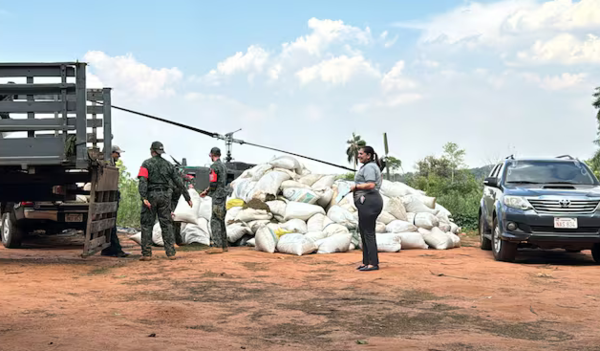 Golpazo al narcotráfico: Senad anula complejo de Canindeyú e incauta 31 toneladas de marihuana - ADN Digital