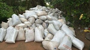 Operativo Maracanazo: Senad llega hasta campamento narco que enviaba marihuana al Brasil