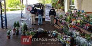 DELITOS ECONÓMICOS RECUERDA QUE LAS PLANTAS DEL EXTERIOR DEBEN TENER DOCUMENTACIONES - Itapúa Noticias