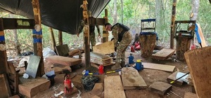 SENAD anula el mayor complejo narco de Canindeyú con más de 31 toneladas de marihuana