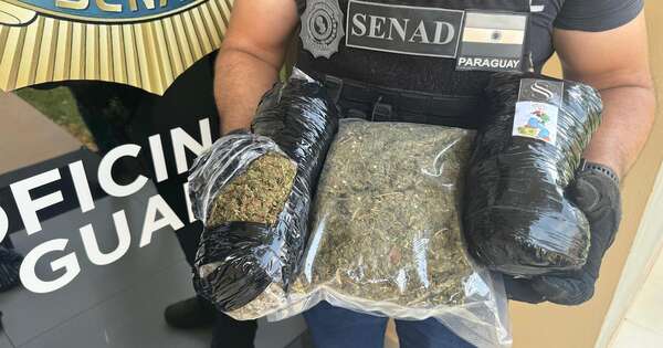 Diario HOY | Pillan a un adolescente que viajaba con droga