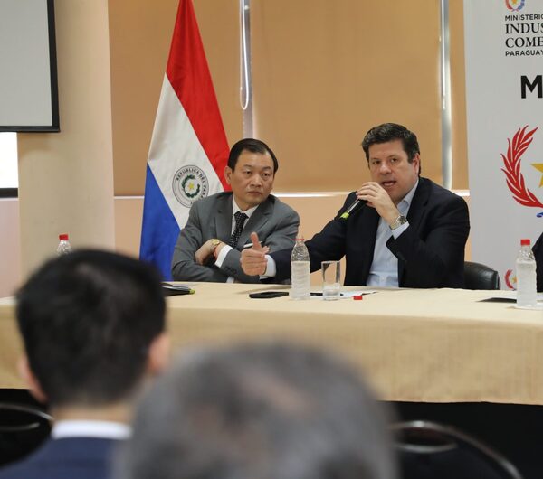 Paraguay mostrará su potencial para convertirse en líder regional de la industria textil en primer Congreso de Innovación - MarketData