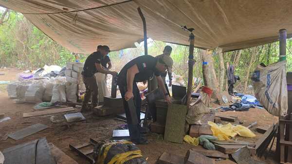 "Maracanazo" al narcotráfico: SENAD destruyó 31 toneladas de droga en Canindeyú - Unicanal