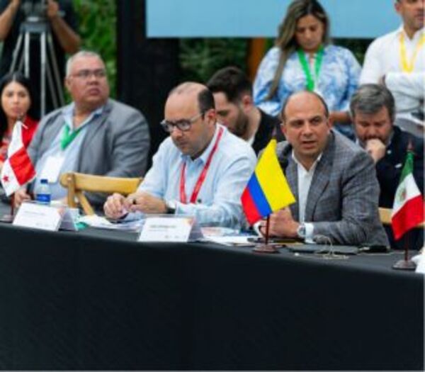 La FIO definió las vicepresidencias y eligió secretario técnico.