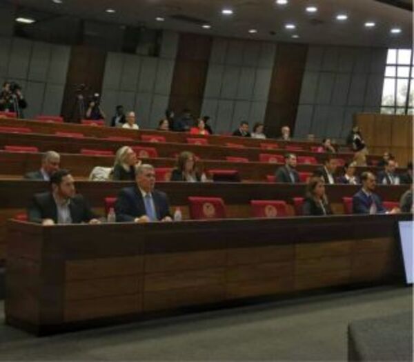 Participación en Audiencia Pública sobre presupuesto, destinado al sector de la Niñez y la Adolescencia.