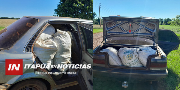 POLICÍA SECUESTRÓ CARGAMENTO DE DROGA EN CARLOS A. LÓPEZ - Itapúa Noticias