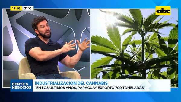Industrialización del cannabis: Paraguay amplía ventana de exportaciones - Gente & Negocios - ABC Color