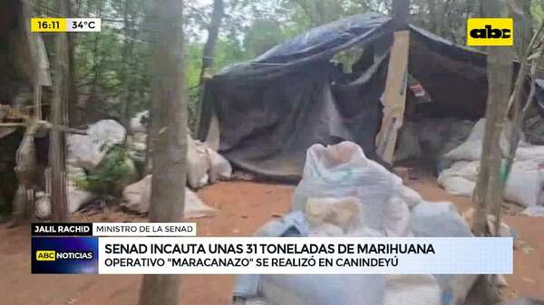 Operativo “Maracanazo”: Senad incautó 31 toneladas de marihuana en Canindeyú - ABC Noticias - ABC Color
