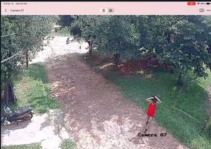 Fiscal vichea desaparición de una joven que había sido obligada a subir a un rodado