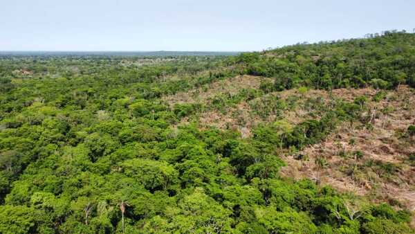 Estancia denuncia deforestación en zona de influencia del río Aquidabán