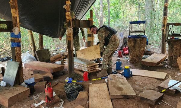“Maracanazo”: Desmantelan base narco con 31 toneladas de marihuana y 50 vehículos – Diario TNPRESS