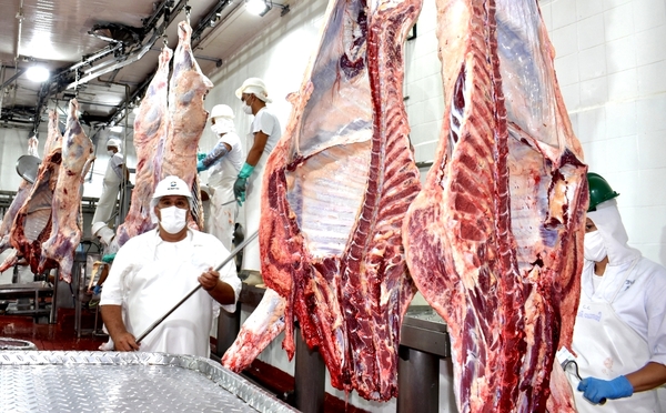 Norma de clasificación y tipificación de carne ayudará en negociaciones con distintos mercados internacionales - 1000 Noticias