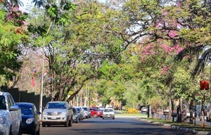 Sábado cálido con vientos del sur en todo el territorio nacional